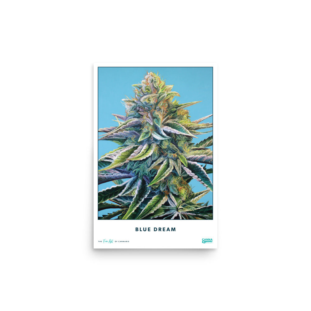 STRAIN NAME Blue Dream Poster