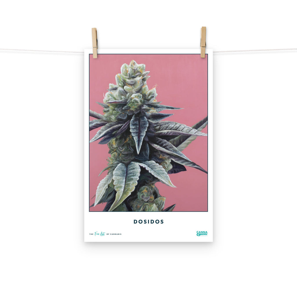 STRAIN NAME Dosidos Poster
