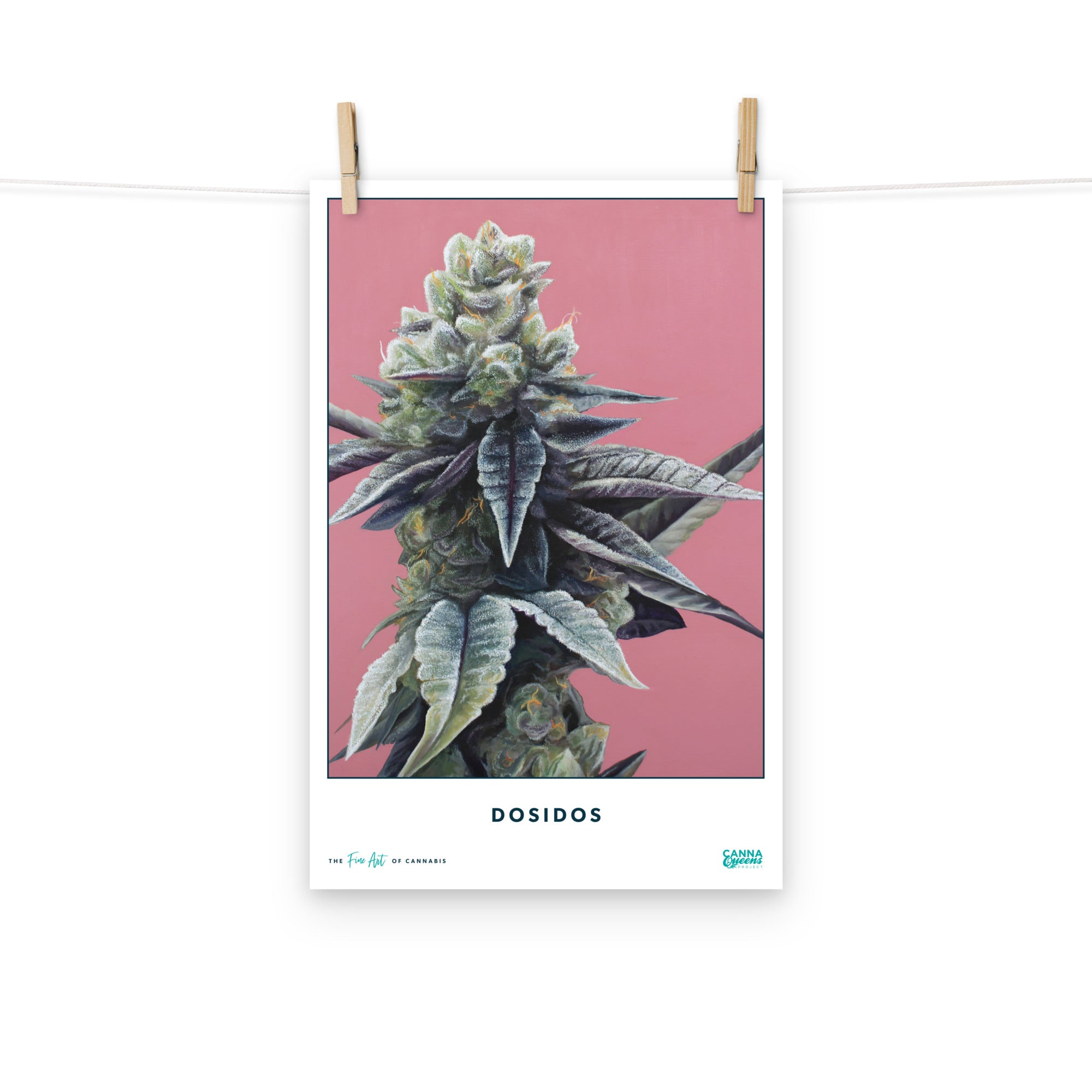 STRAIN NAME Dosidos Poster