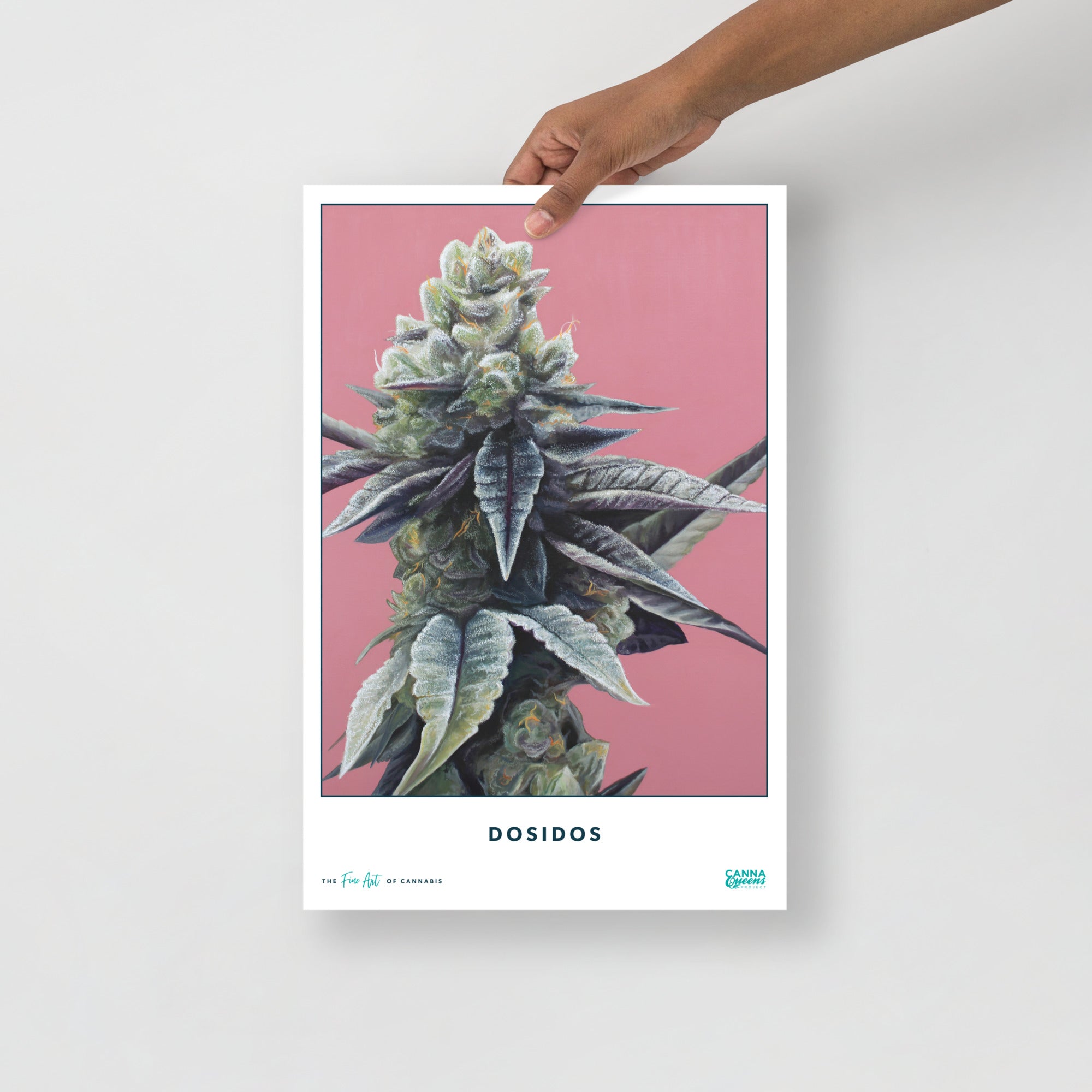 STRAIN NAME Dosidos Poster