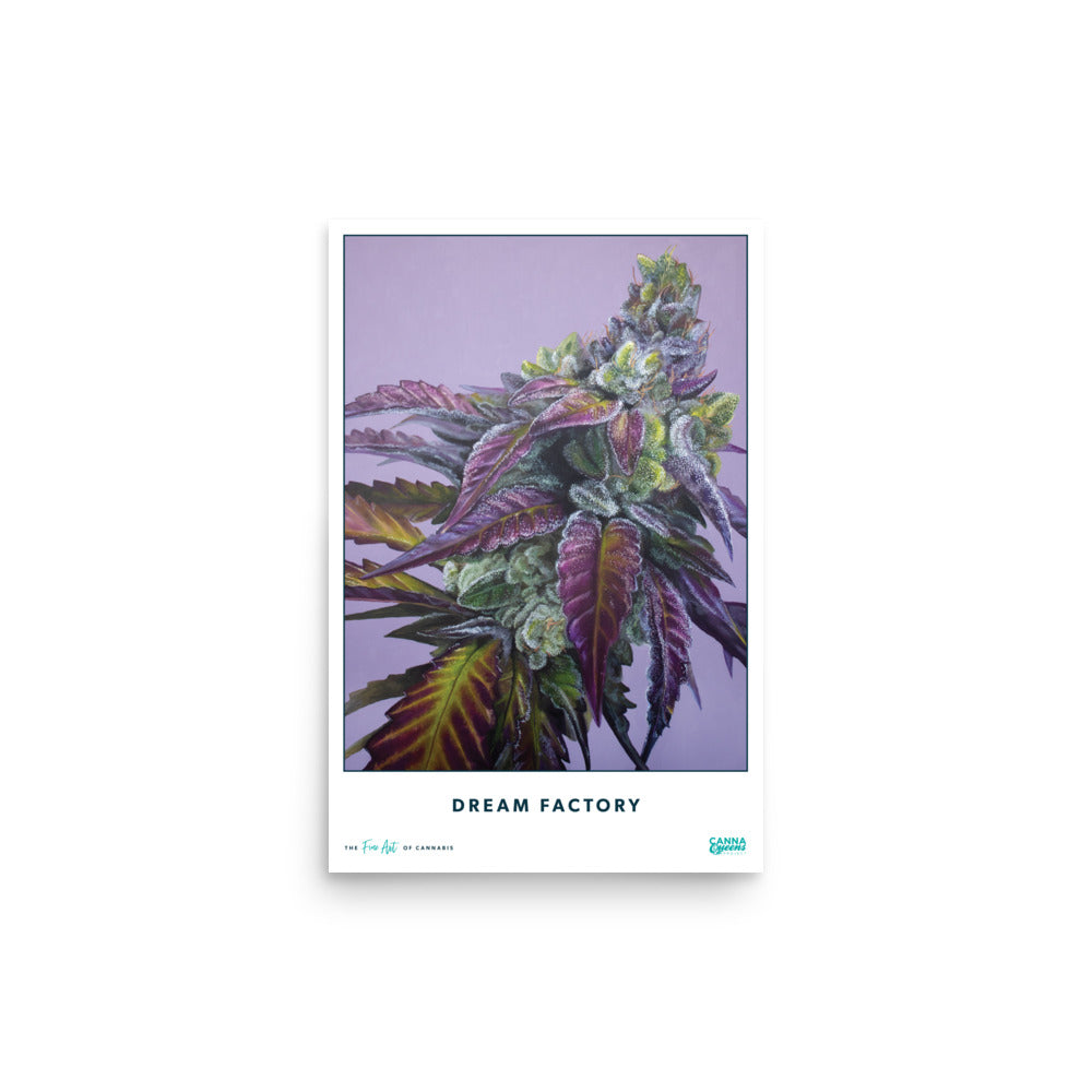 STRAIN NAME Dream Factory Poster