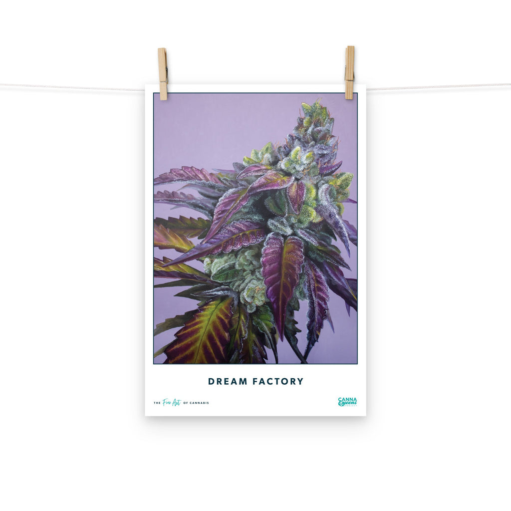 STRAIN NAME Dream Factory Poster