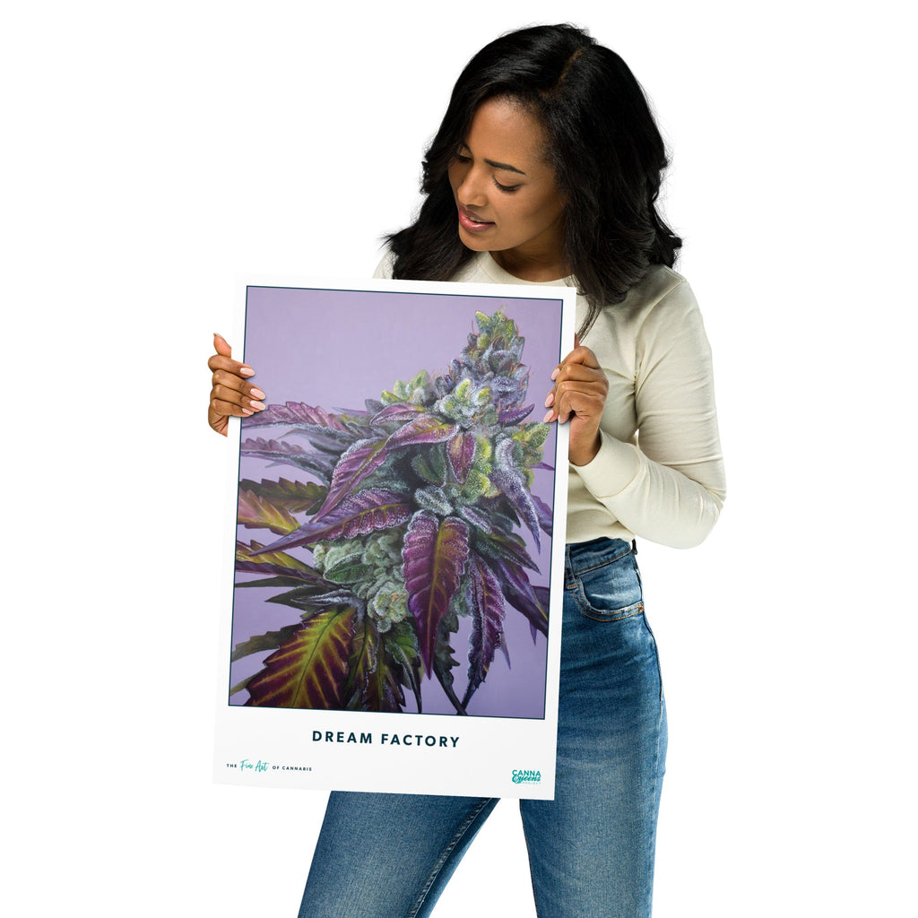 STRAIN NAME Dream Factory Poster