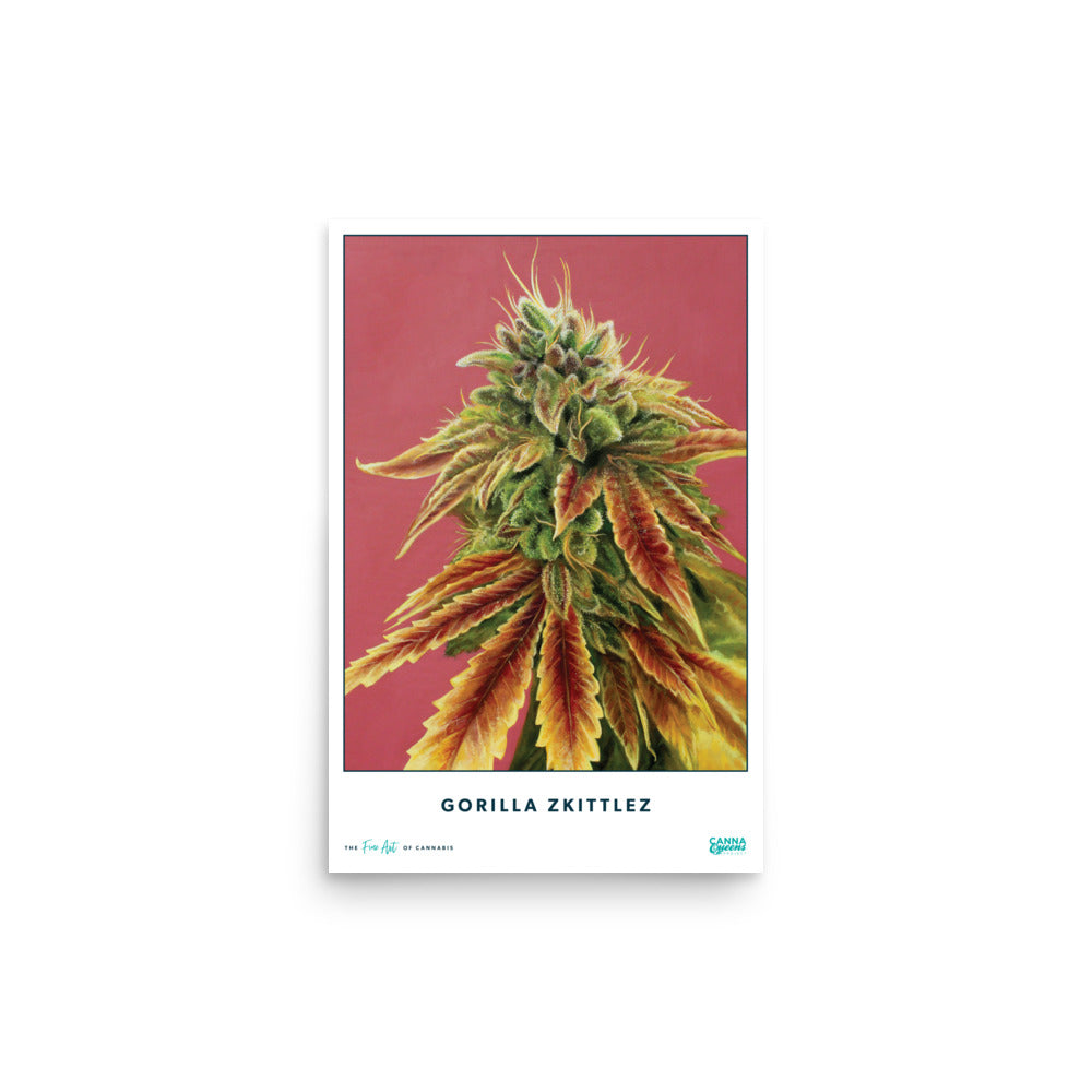 STRAIN NAME Gorilla Zkittlez Poster