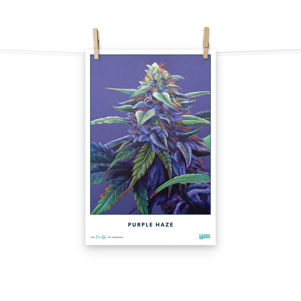 STRAIN NAME Purple Haze Poster