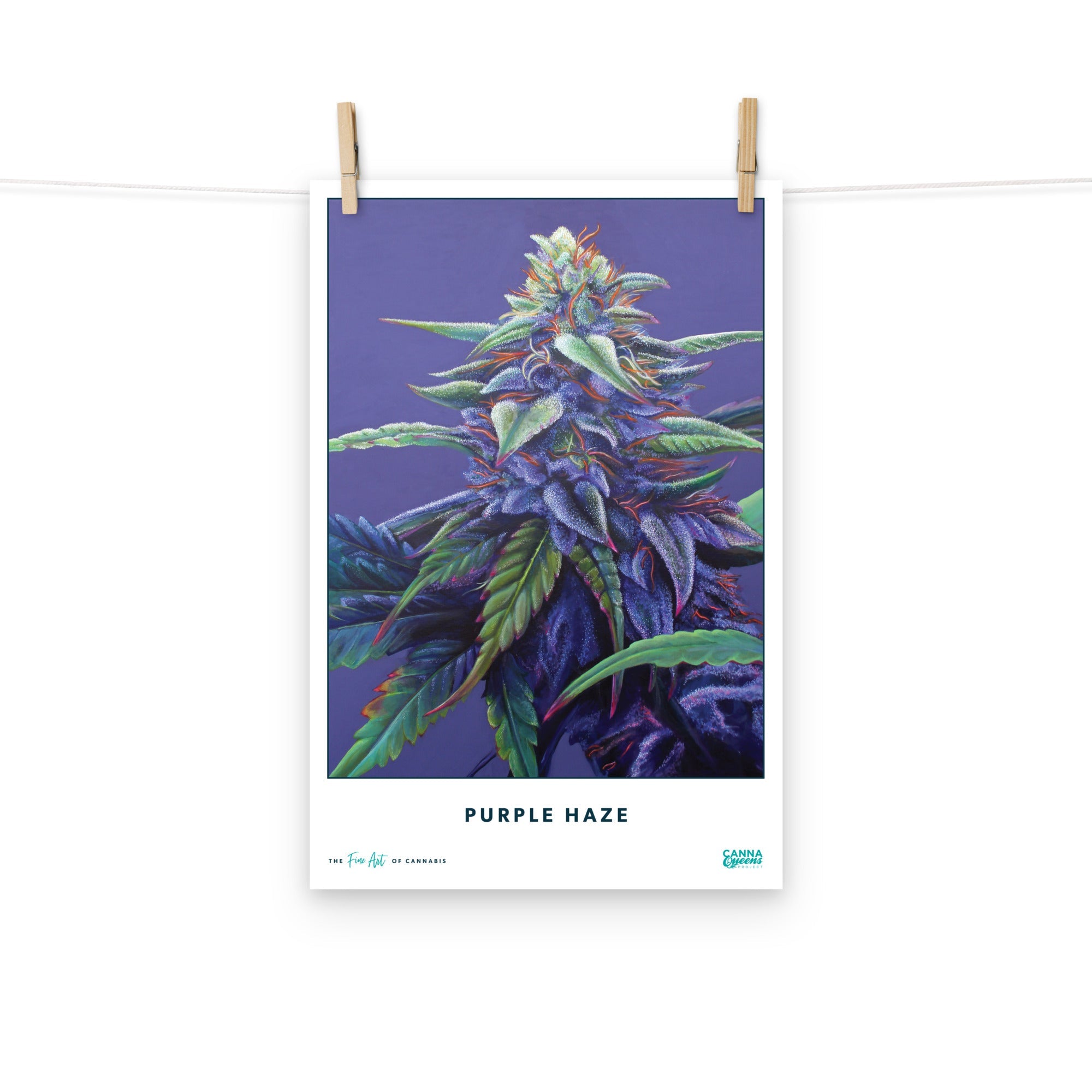 STRAIN NAME Purple Haze Poster