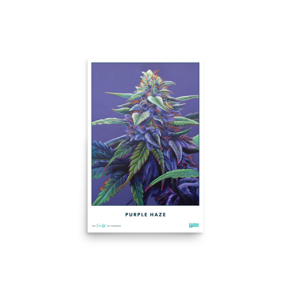 STRAIN NAME Purple Haze Poster