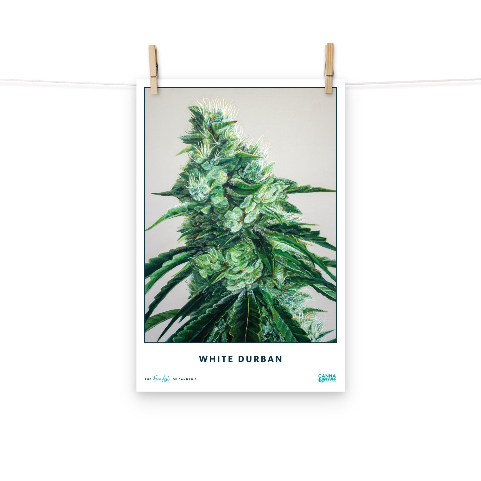 STRAIN NAME White Durban Poster