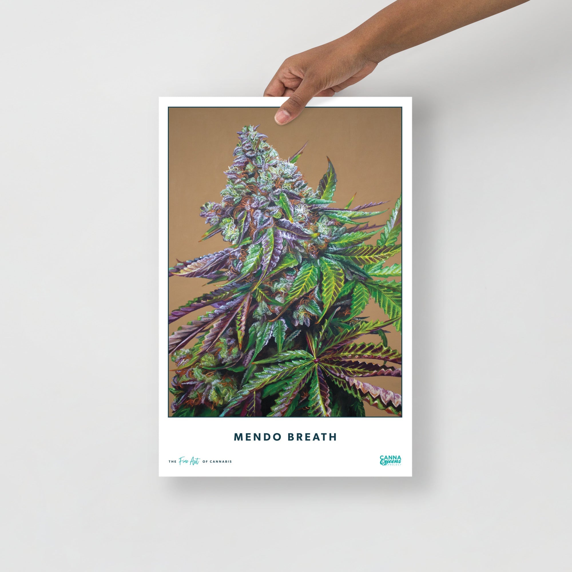 STRAIN NAME Mendo Breath Poster