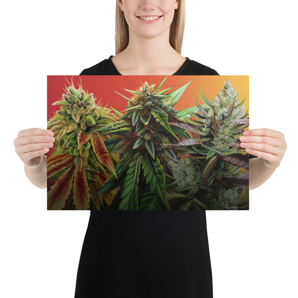 FIRE 18"x12" Poster