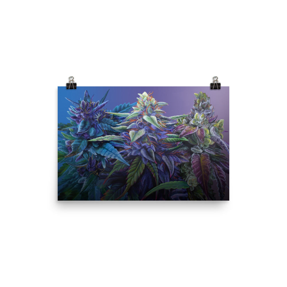 PURPS 18"x12" (small) Print