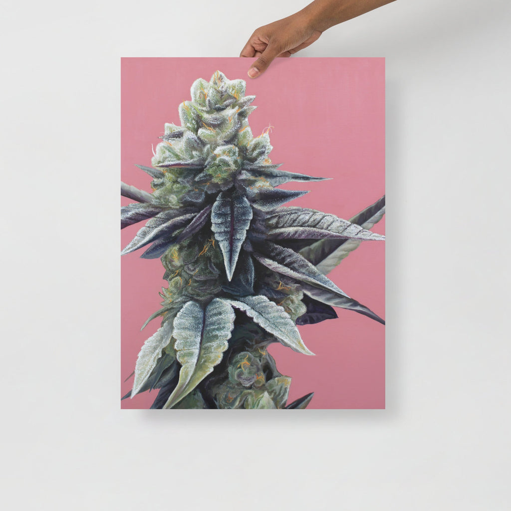 Dosidos 18"x24" Poster