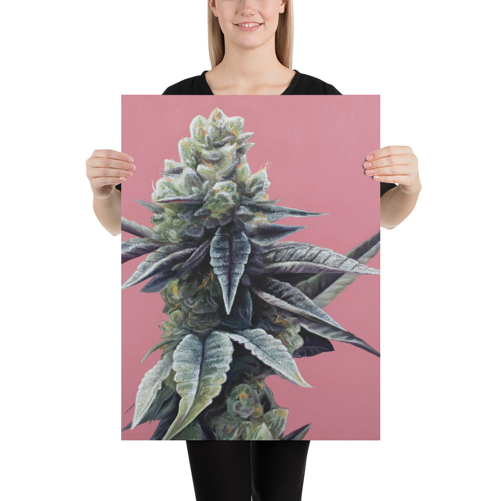 Dosidos 18"x24" Poster