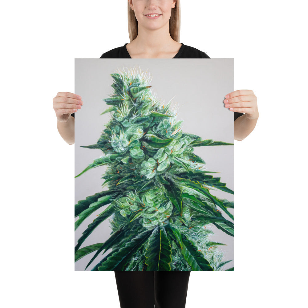 White Durban 18"x24" Poster