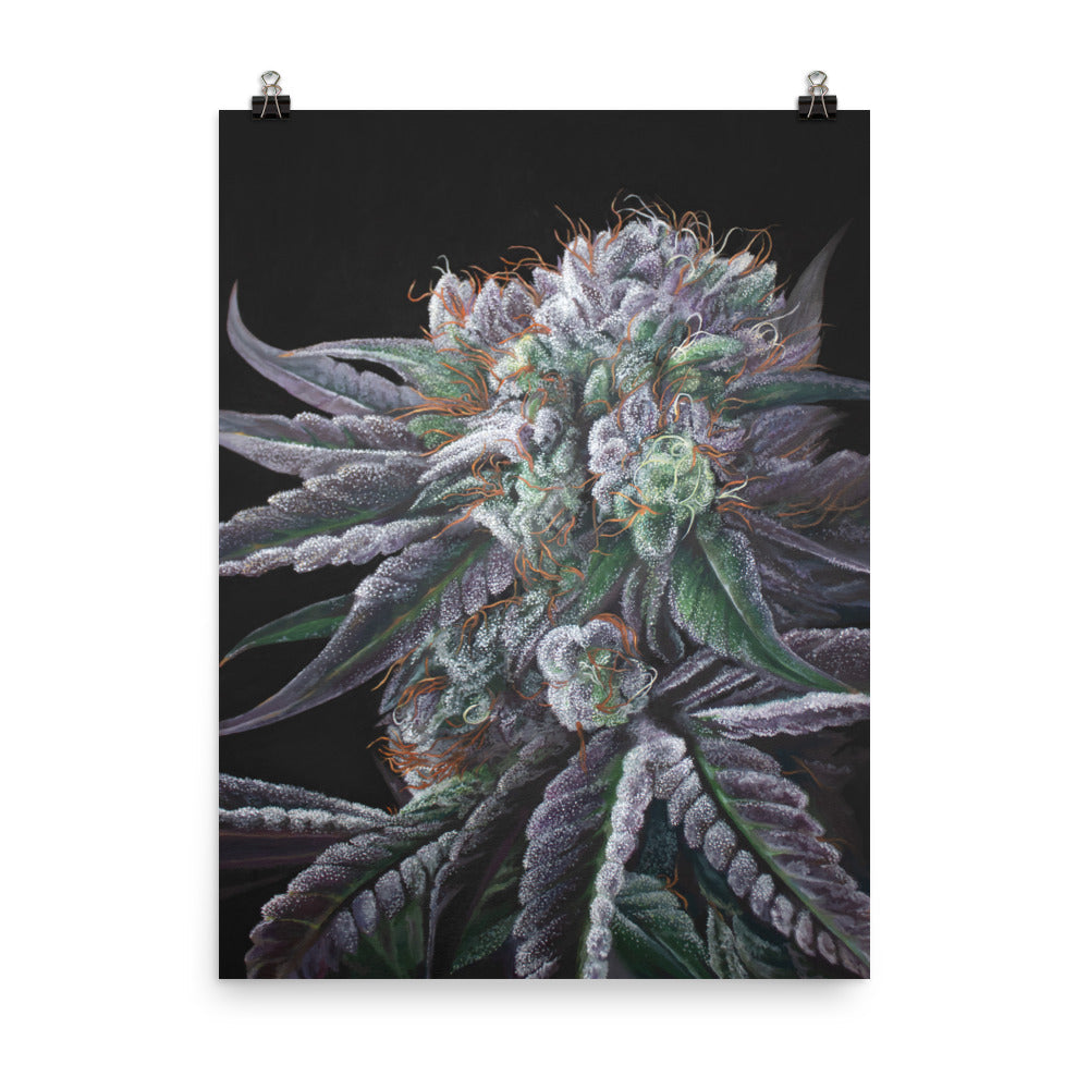 Black Afghan 18"x24" Poster