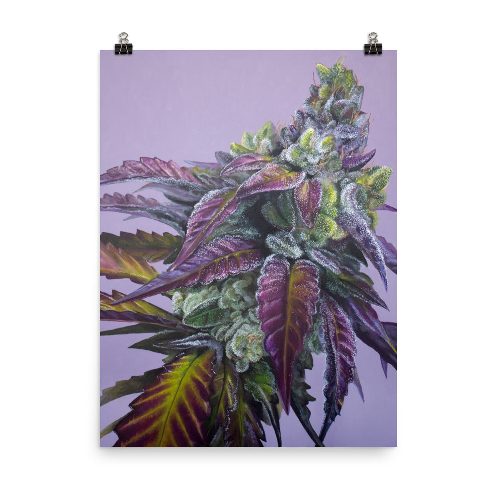 Dream Factory 18"x24" Poster