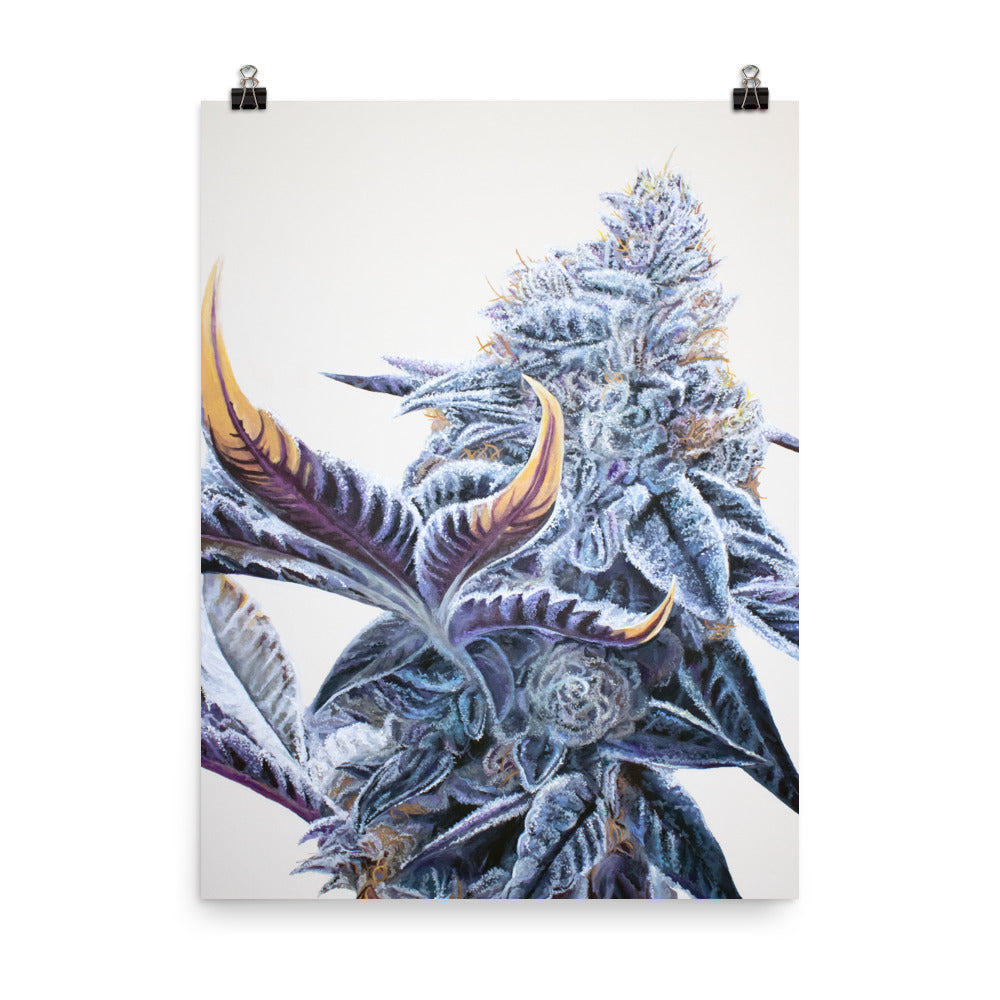 Ice Cream Cake 18"x24" Poster