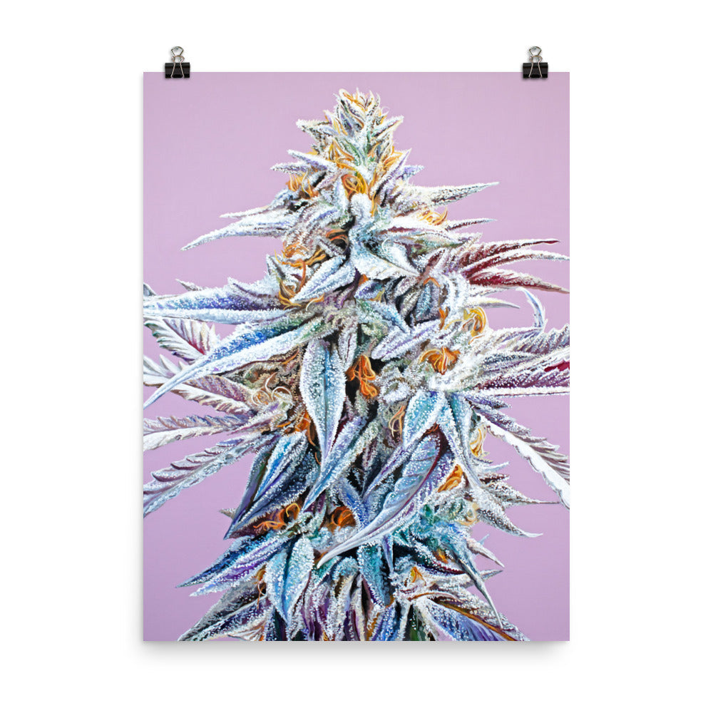 Trufflelatto Berry 18"x24" Poster