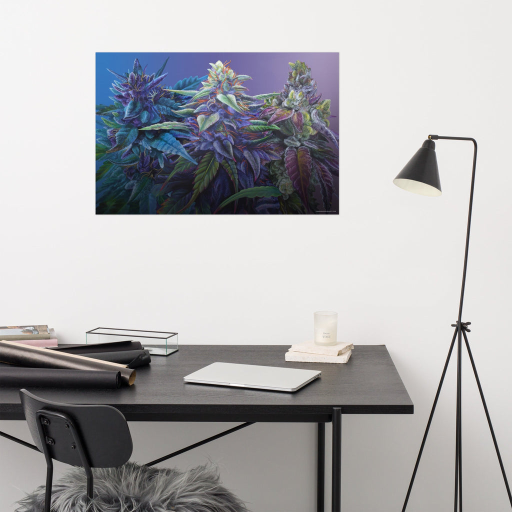PURPS 36"x24" Purple Cannabis Poster