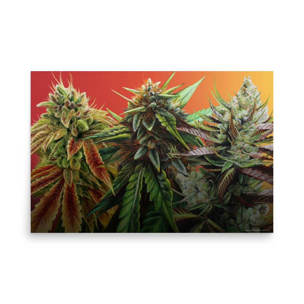 FIRE 36"x24" Poster