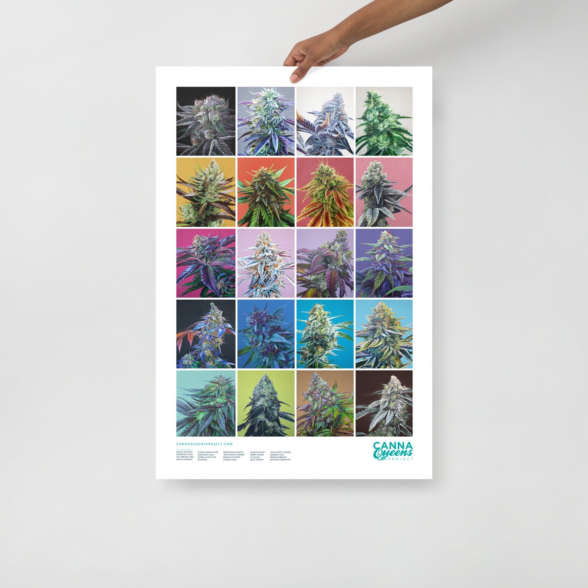 20 Strains Cannabis Poster