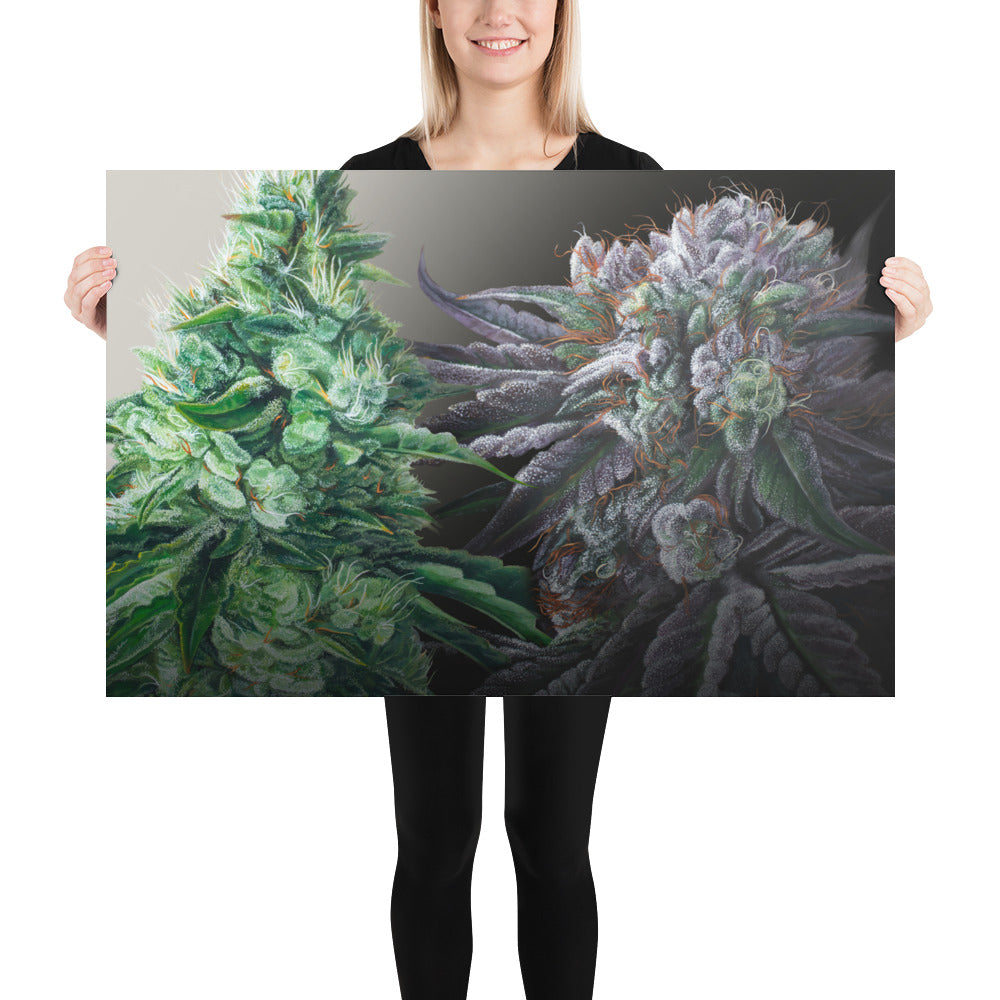 Day&Night 36"x24" Poster