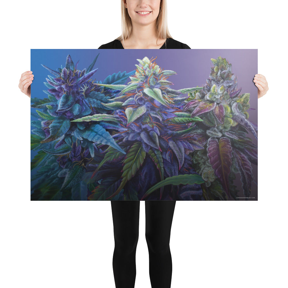 PURPS 36"x24" Purple Cannabis Poster