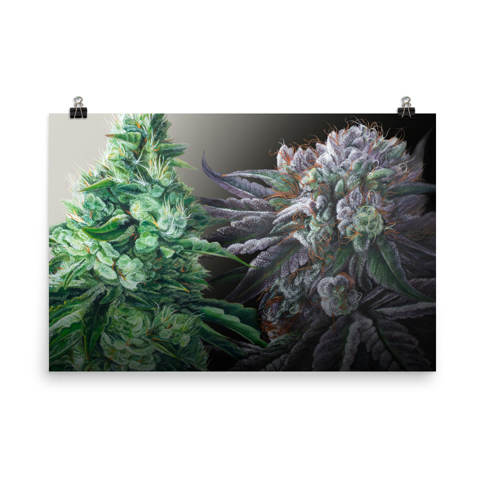 Day&Night 36"x24" Poster