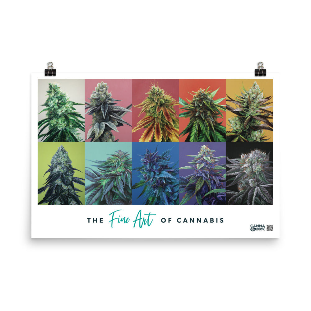 10 Strain 36"x24" Poster