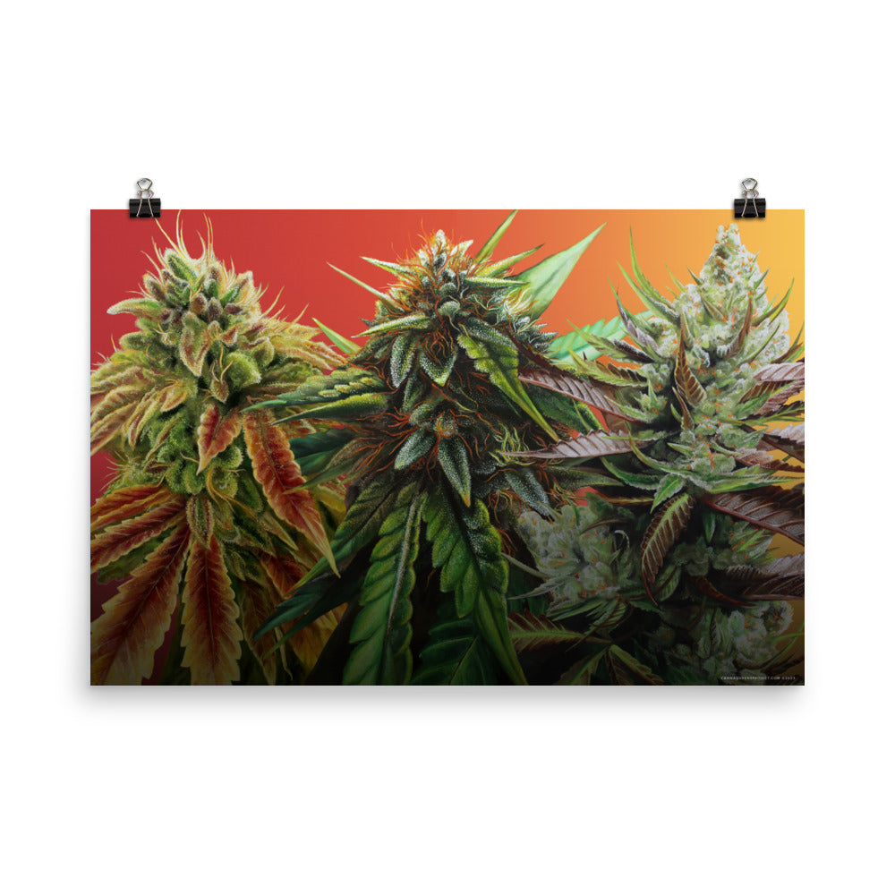 FIRE 36"x24" Poster