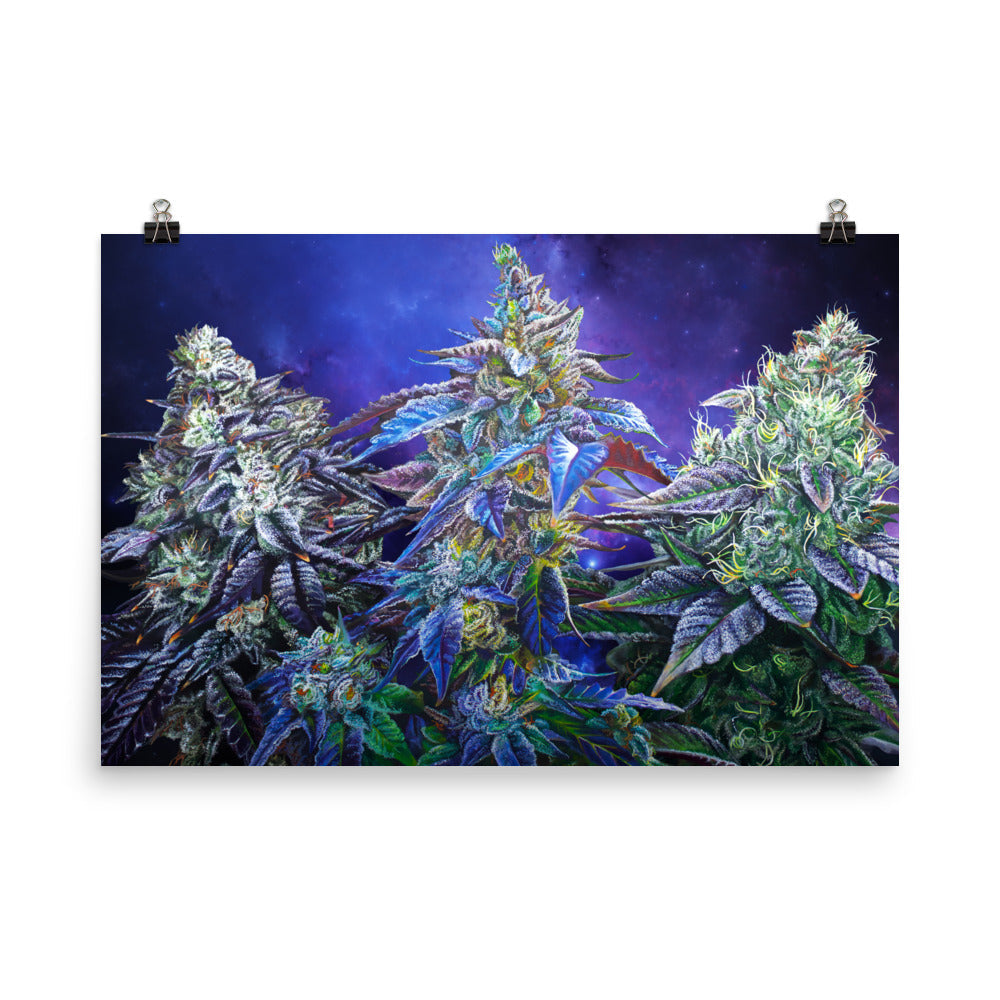 Another Galaxy 36"x24" Cannabis Poster