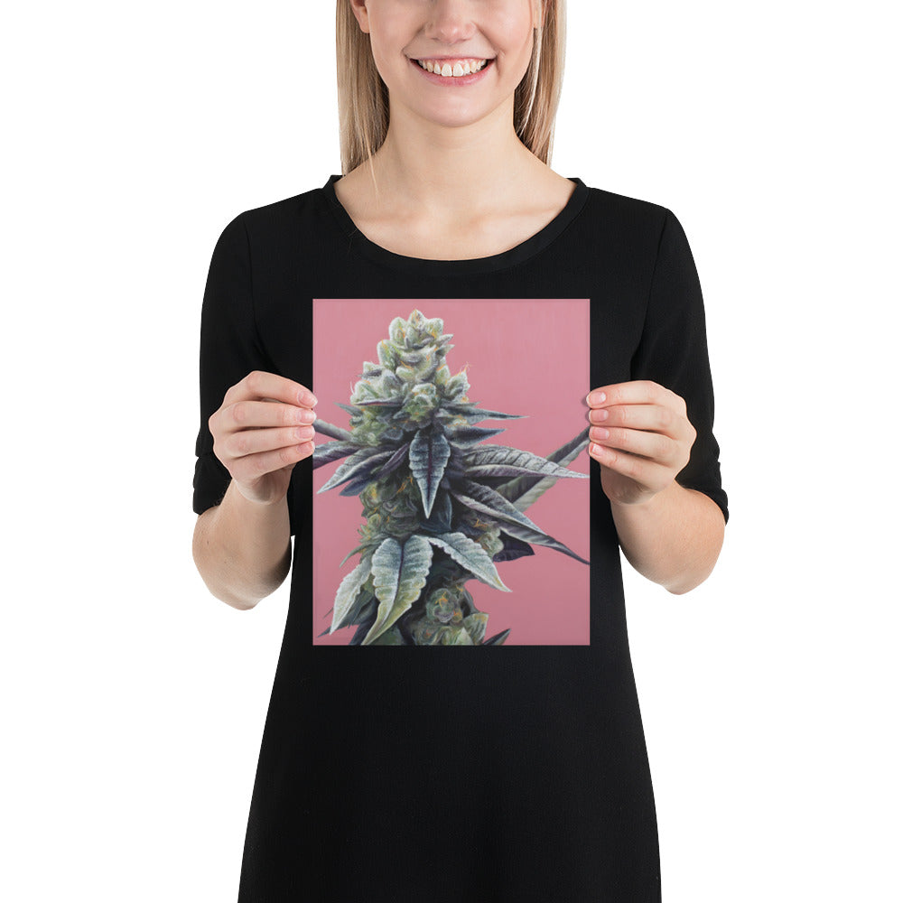 Dosidos 8"x10" Print