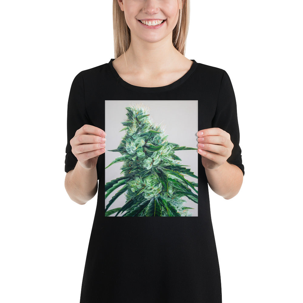 White Durban 8"x10" Print