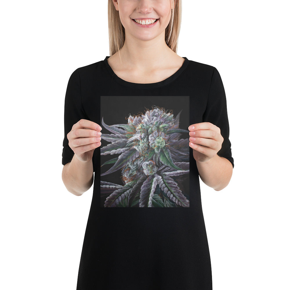 Black Afghan 8"x10" Print