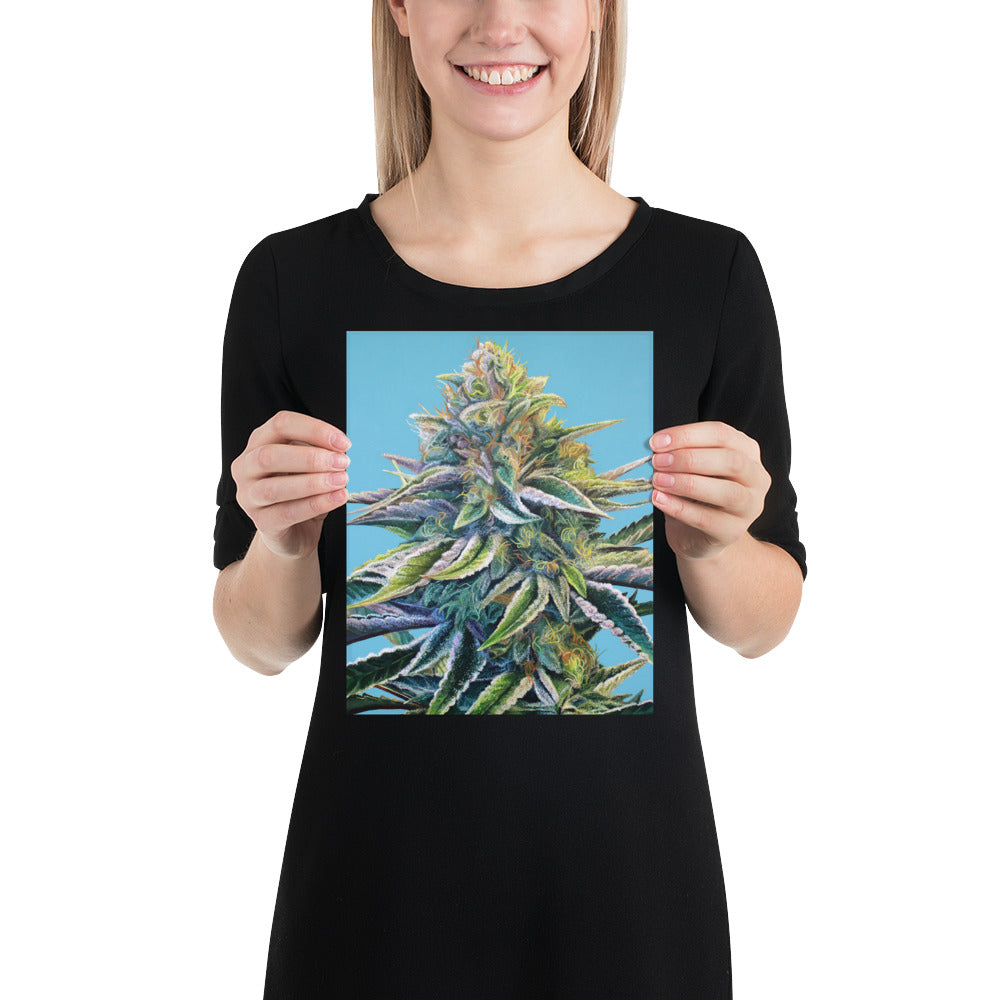 Blue Dream 8x10 Print