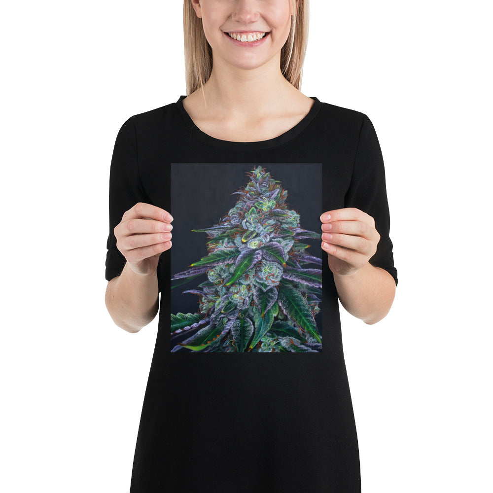 Sour Diesel 8x10 Print