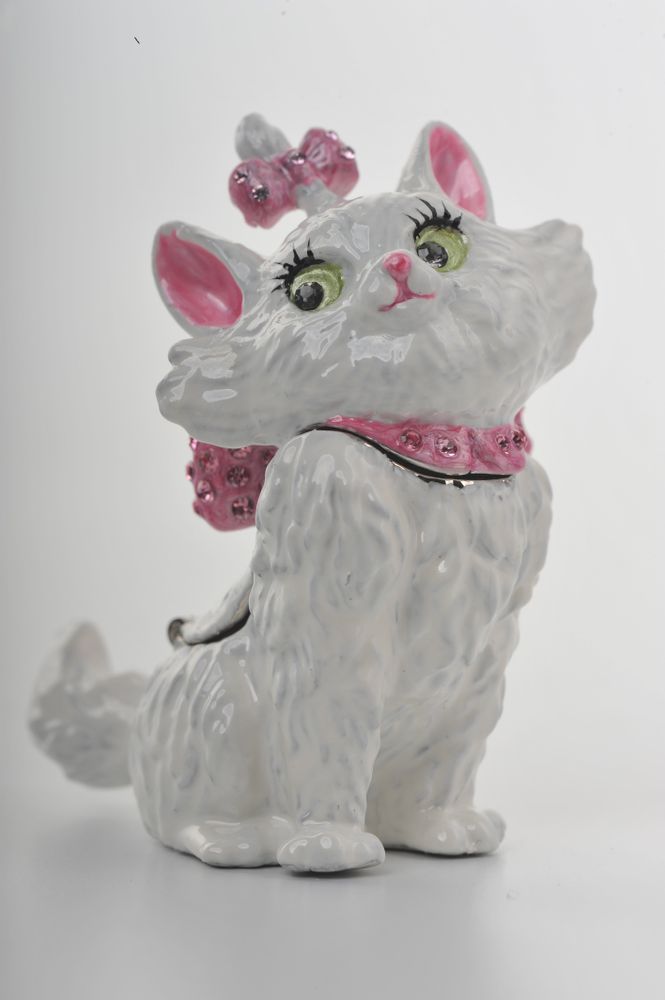 White and Pink Cat