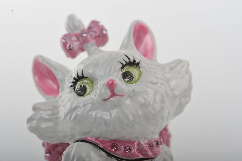 White and Pink Cat