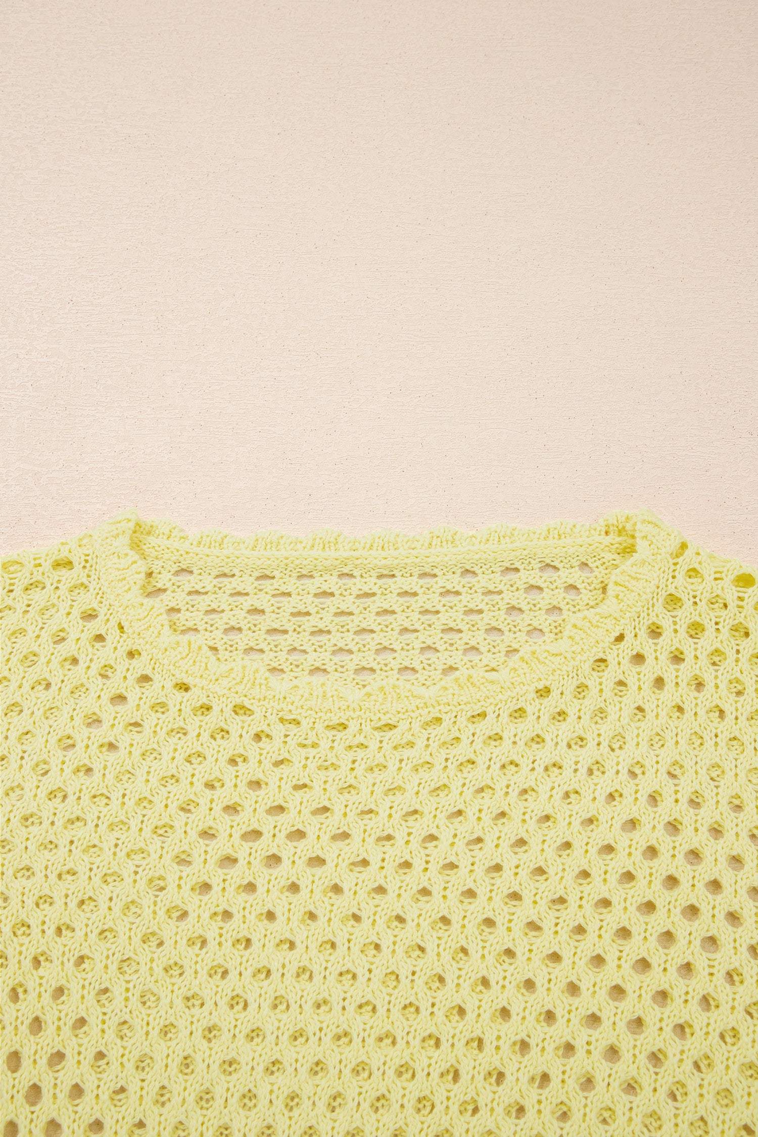 Scalloped Trim Hollow Out Knit Long Sleeve Top