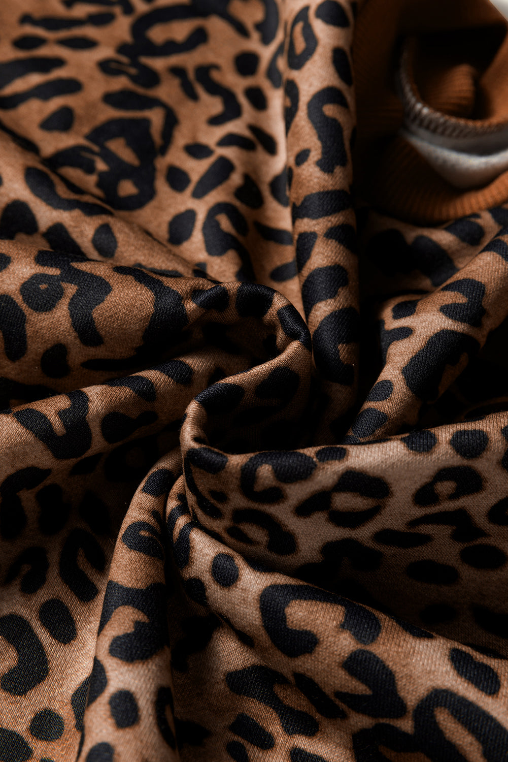 Leopard Contrast Trim Top and Pants Set