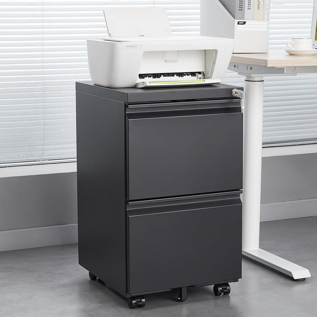 Metal Black 2 Drawer File Cabinet with Lock, Mobile Filing Cabinet for Home Office, Fits Letter/Legal/A4
