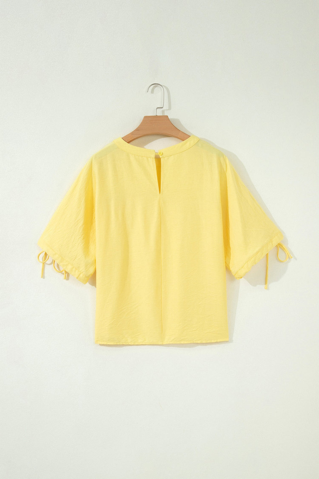 Solid Pleated Tie Sleeve Babydoll Blouse
