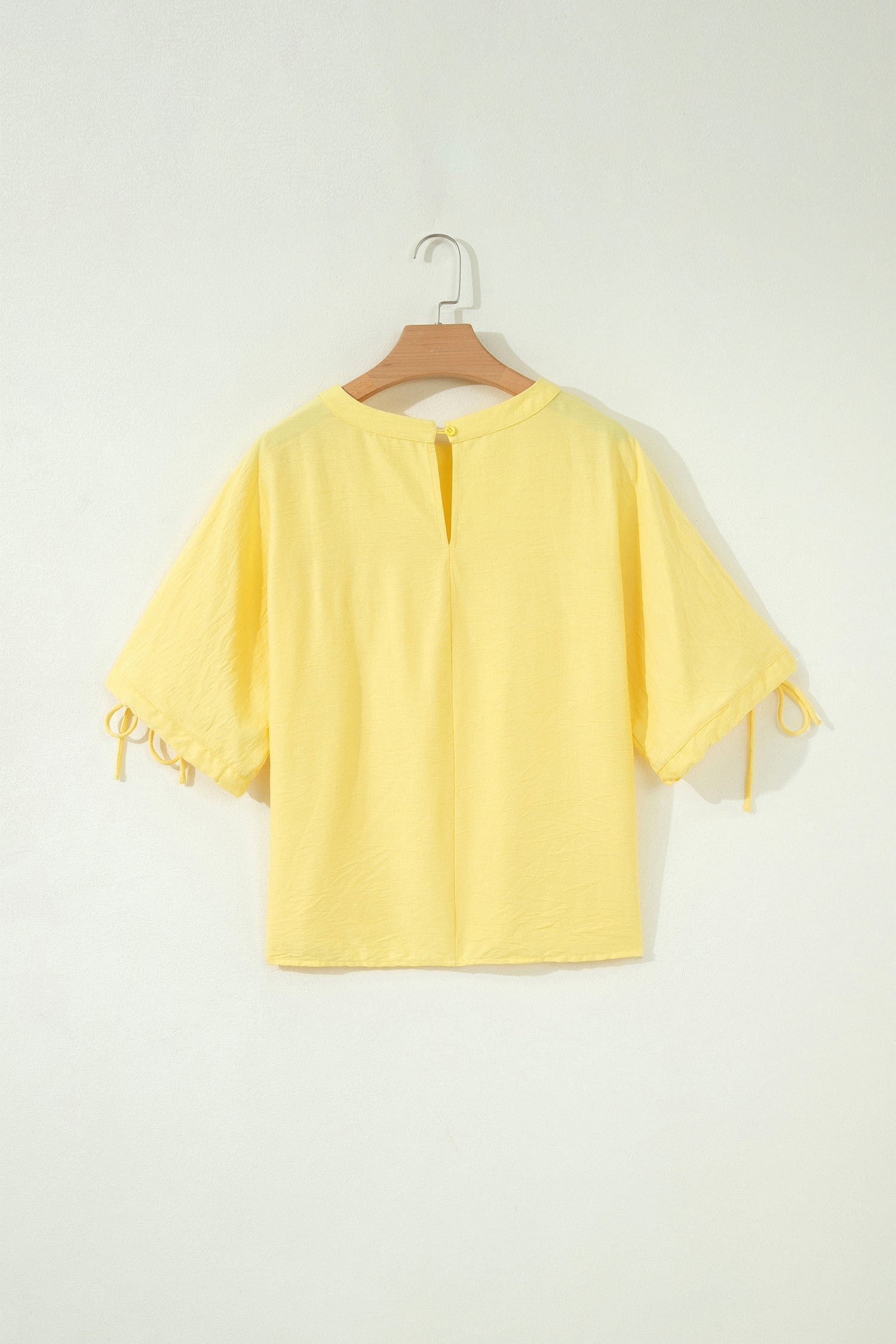 Solid Pleated Tie Sleeve Babydoll Blouse