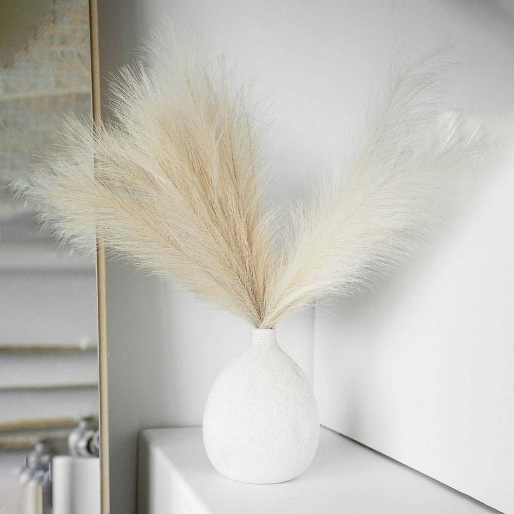 Pampas Grass