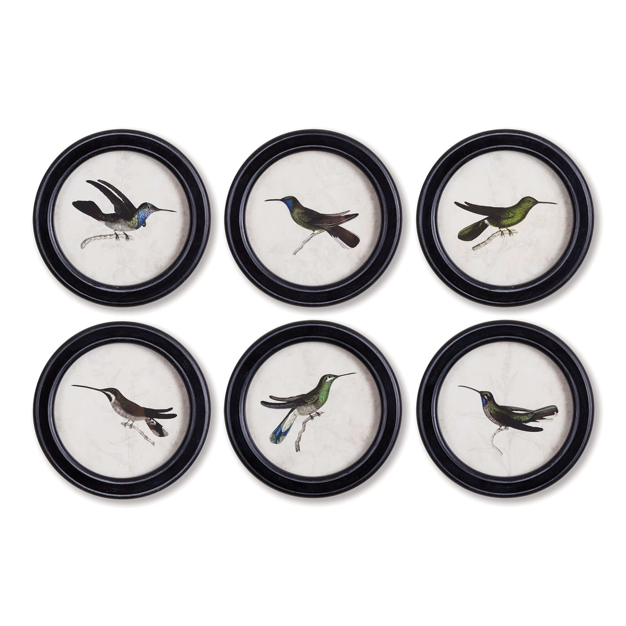 Framed Vintage Hummingbird Prints (Set of 6)