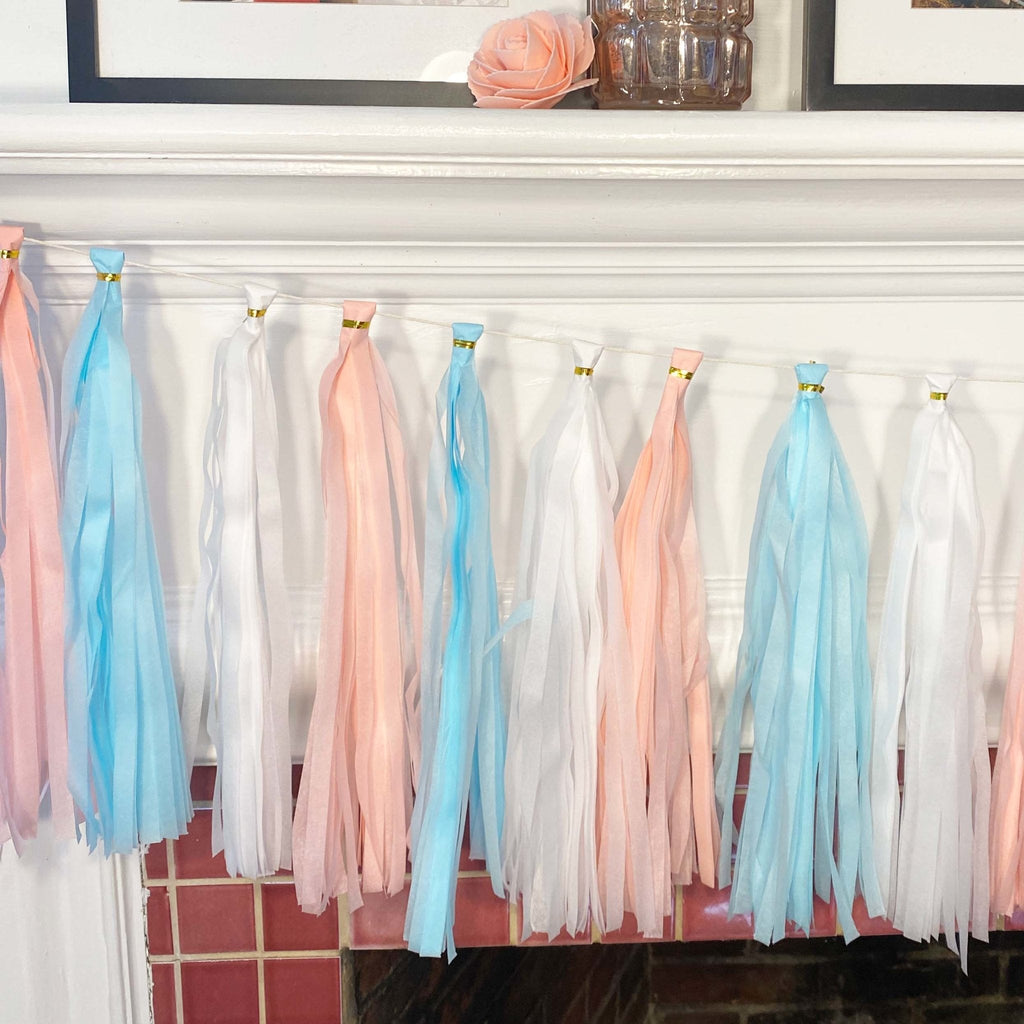 Pastel Pink and Blue Tassel Tail