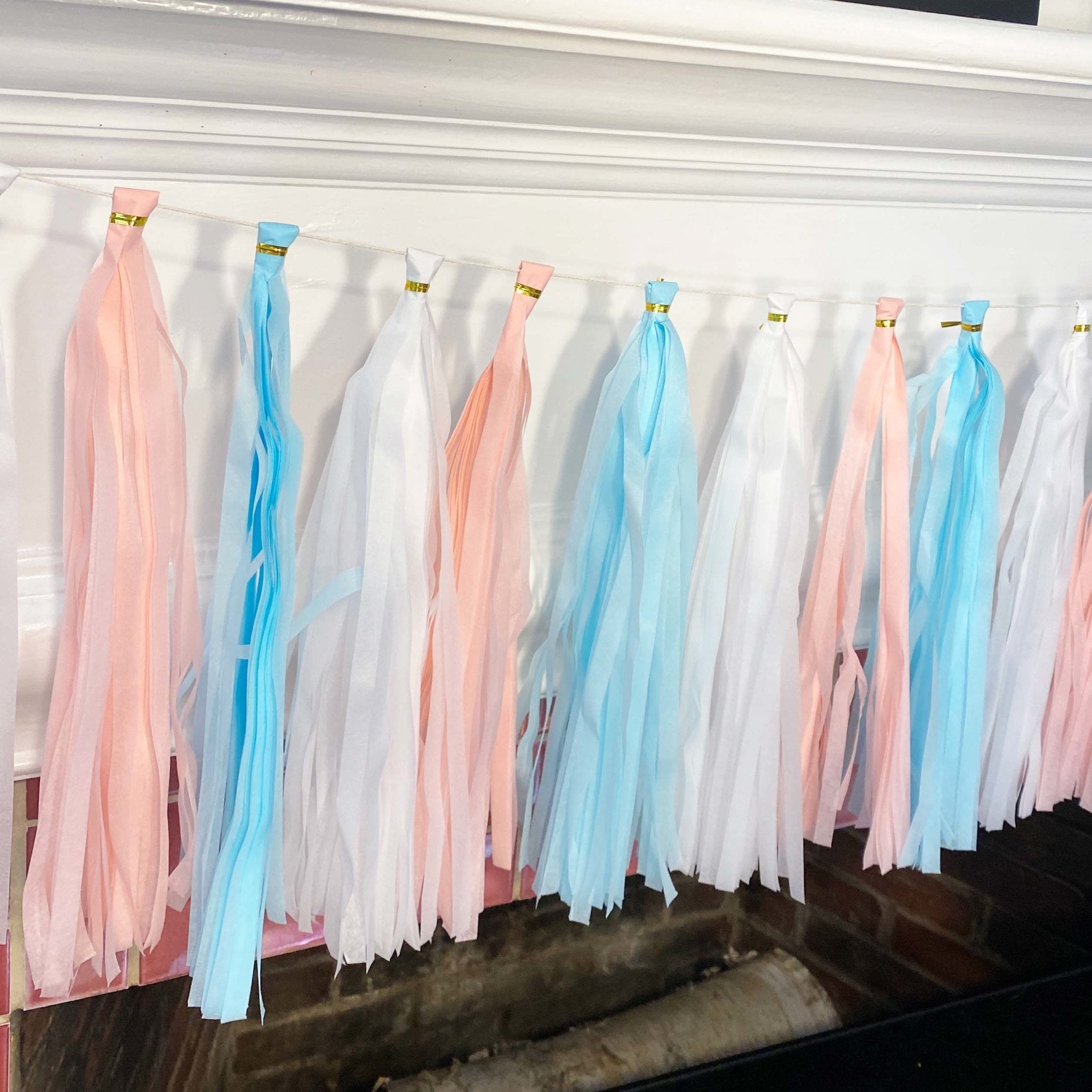 Pastel Pink and Blue Tassel Tail