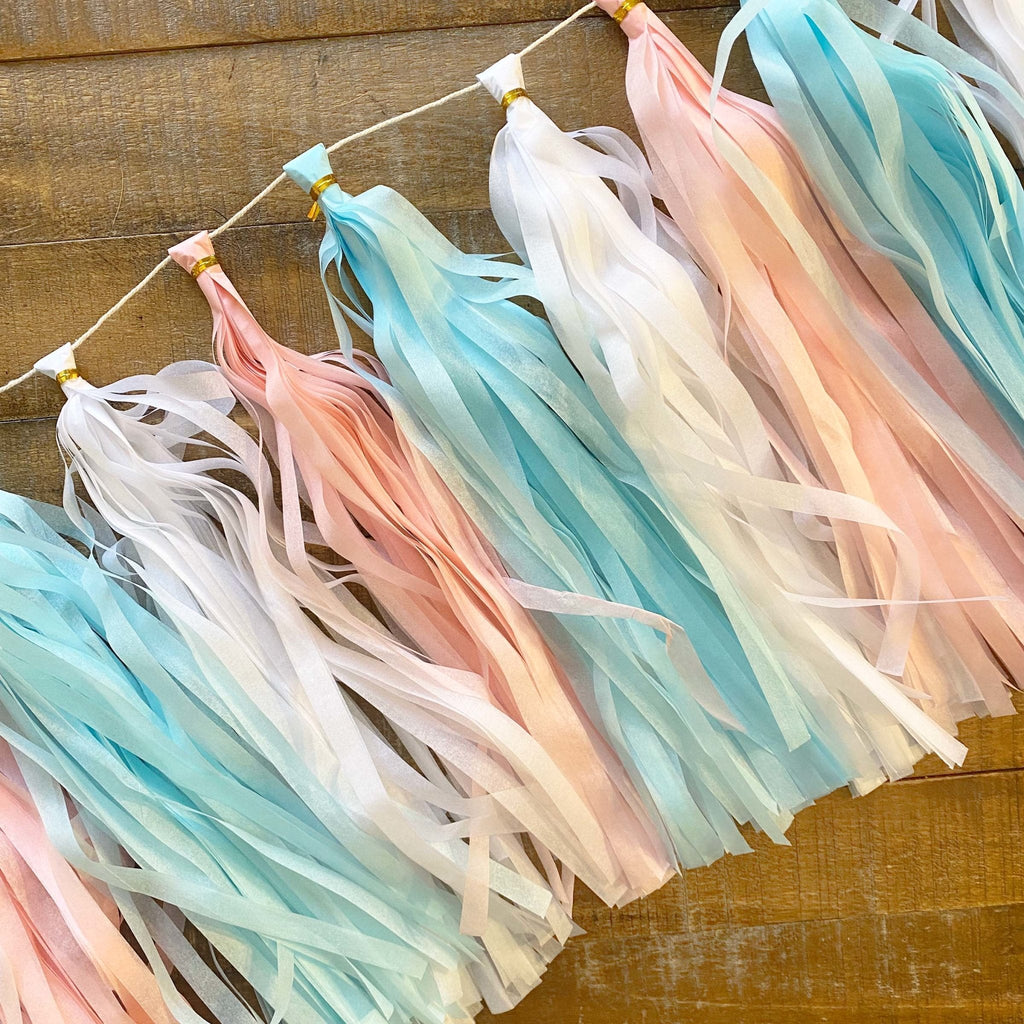 Pastel Pink and Blue Tassel Tail