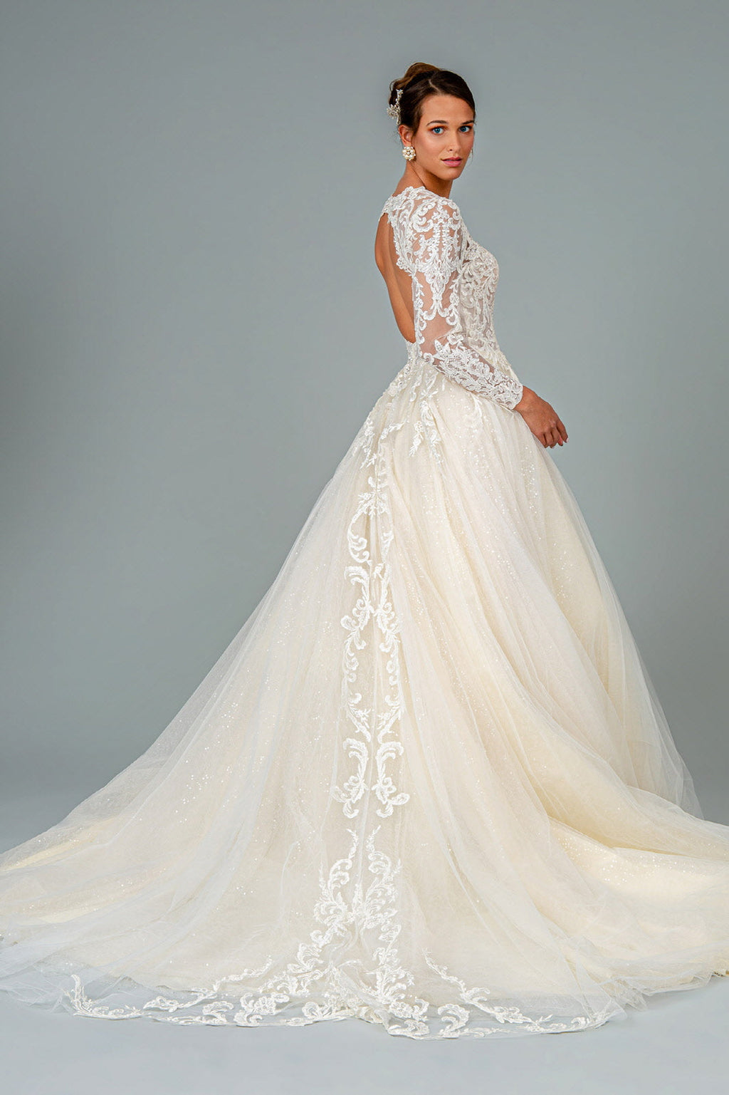Illusion V-Neck Embroidered Mesh w/ Sequin Lining Long Wedding Dress GLGL1804