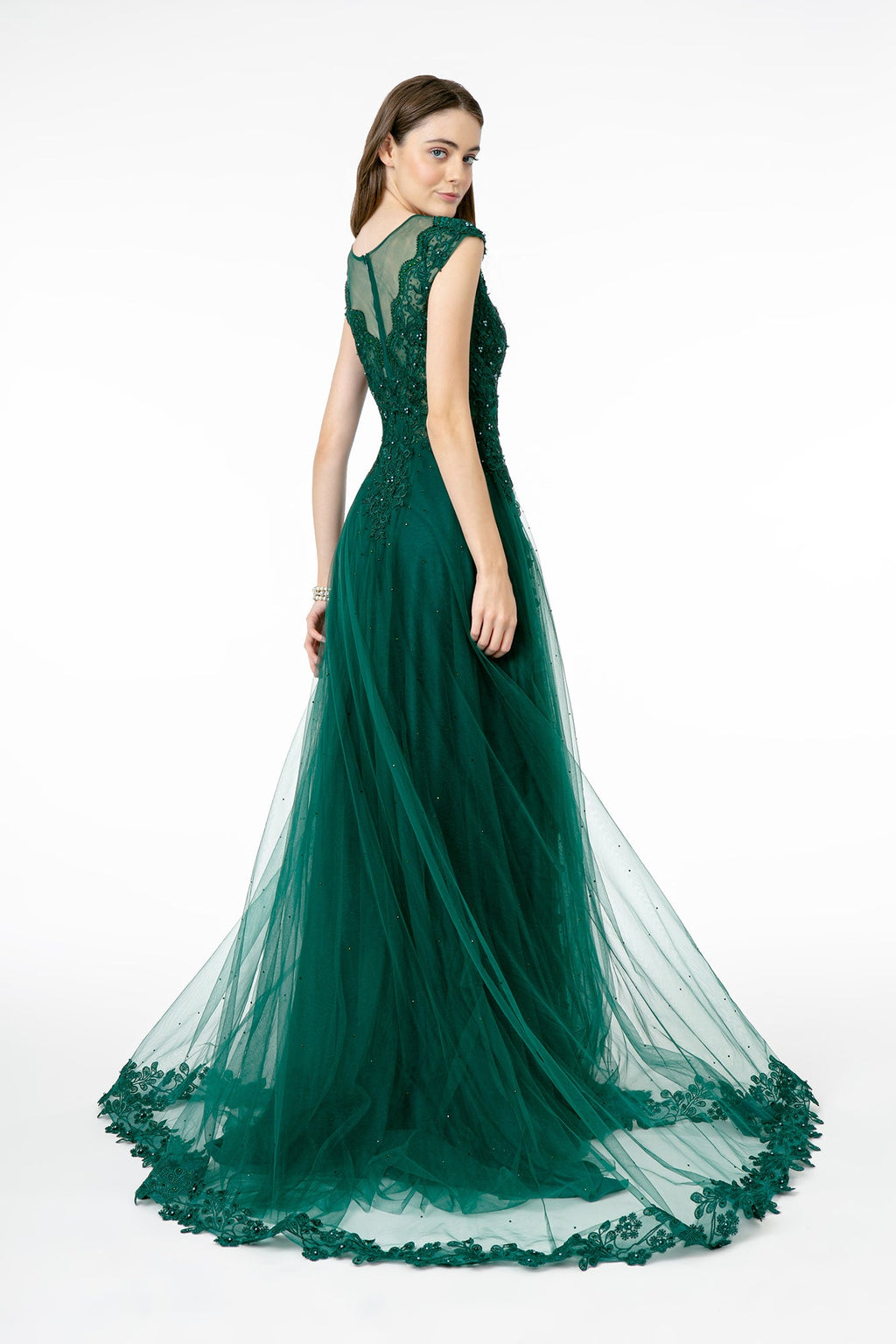 Embroidered Mesh A-Line w/ Sheer Back Long Prom Dress GLGL2882